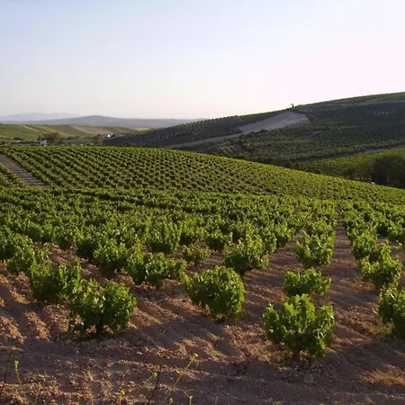 Belvilla By Oyo Piso Confortable En Montilla